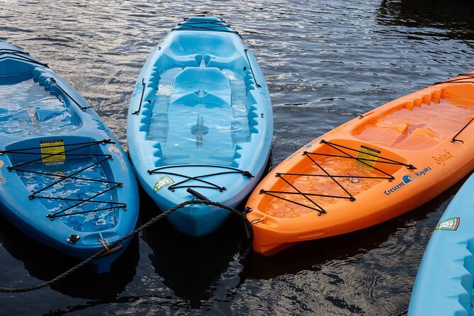 Cairo Kayak on The Nile River - Kayaking Experience Highlights