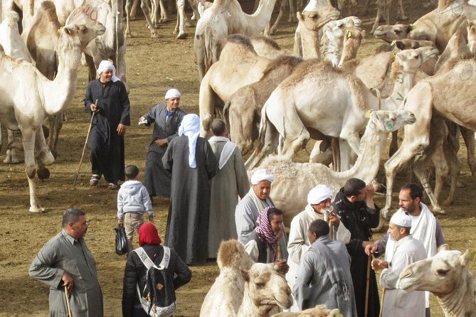 Cairo Unusual Day Tour Visit Camel Market in Birqash - Cultural Immersion at Camel Market
