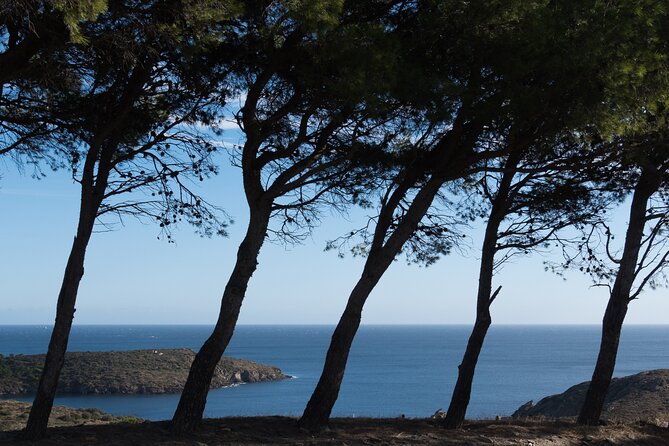 Cala Montjoi 2h 30 Experience Review - Traveler Feedback