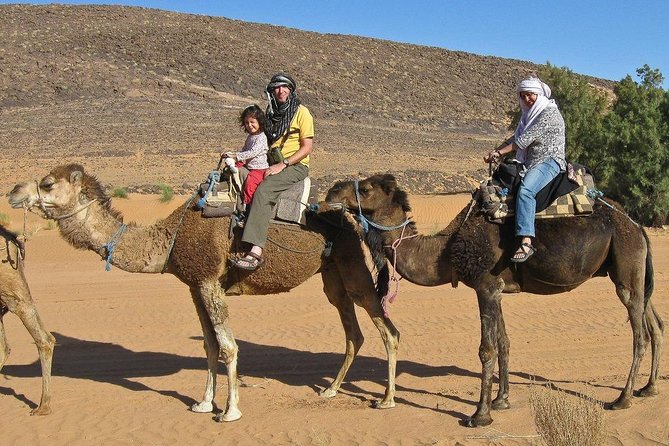 Camel Ride - Transportation Options