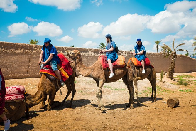 Camel Ride and Quad Biking With Fresh Mint Tea - Quad Biking Adventure