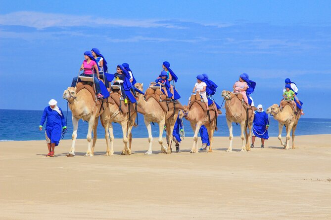 Camel Ride and UTV Combo Adventure, With Tequila Tasting - Guest Experiences and Feedback