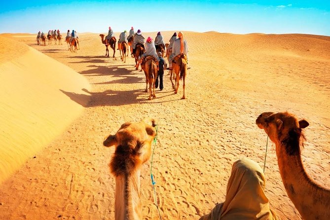 Camel Ride in Desert With Dune Bashing, BBQ Dinner and Belly Dance - Desert Activities and Experiences