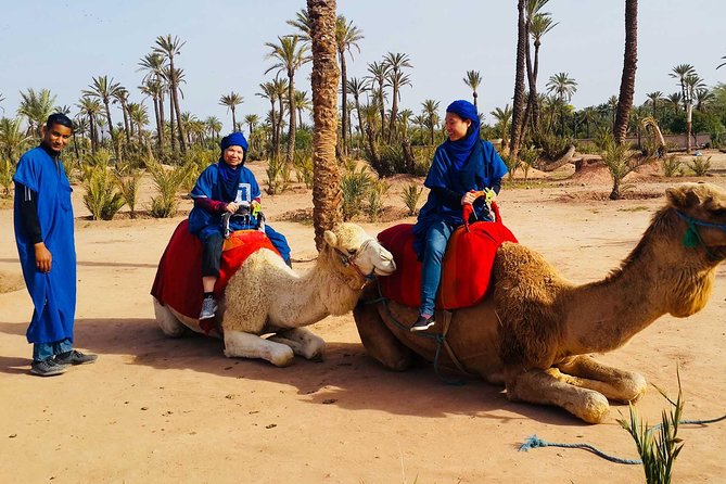 Camel Ride Marrakech - Tour Transportation and Accessibility