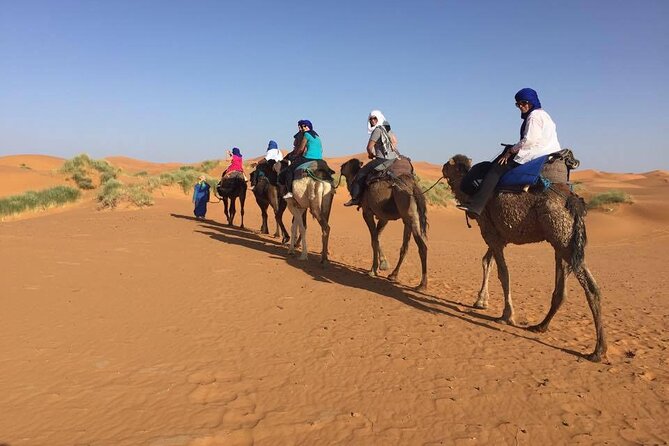 Camel Trek With 1 Night in Luxury Camp With Dinner+ Sundbording - Dinner and Breakfast Inclusions