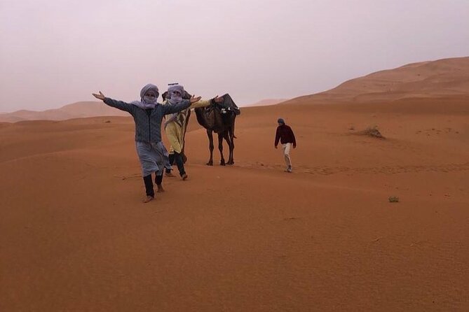 Camel Trekking & 1 Night Desert Camp - Inclusions and Amenities