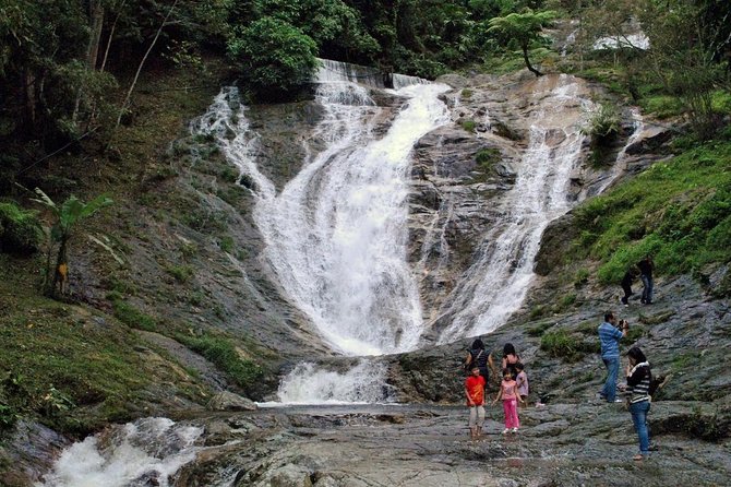 Cameron Highlands Tour With Lunch on Private Basis - What to Expect