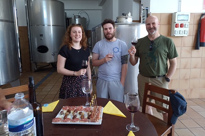 Canarian Wine and Tapas Tasting Private Tour - Pickup Information