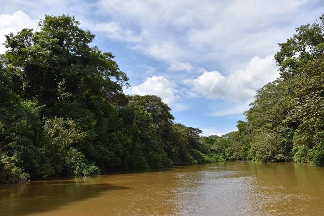 Caño Negro Wetlands by Boat|Small Groups 8 Max - Inclusions and Amenities