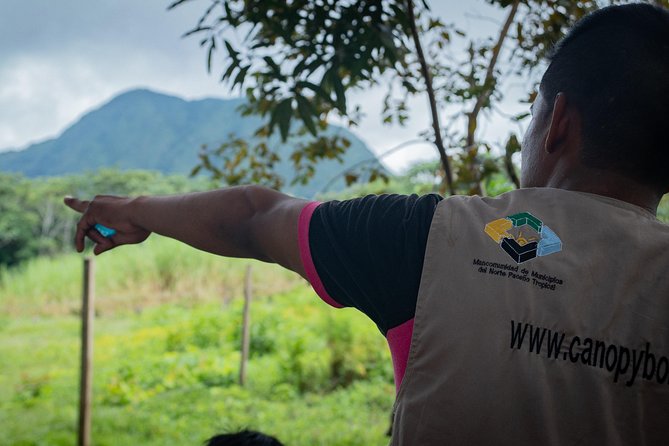 Canopy in the Jungle - Safety Precautions and Considerations