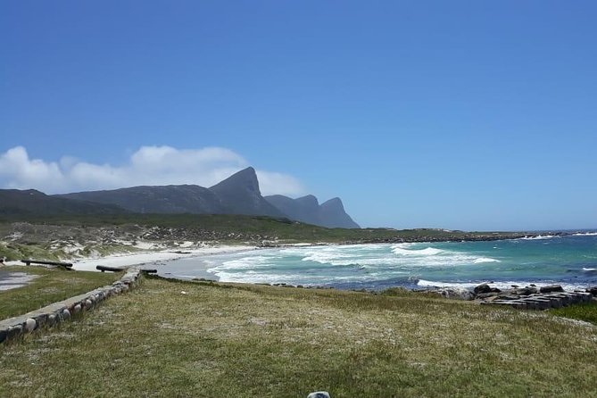 Cape Point, Boulders Beach in Private Car Entrance Fees Included - Accessibility Features
