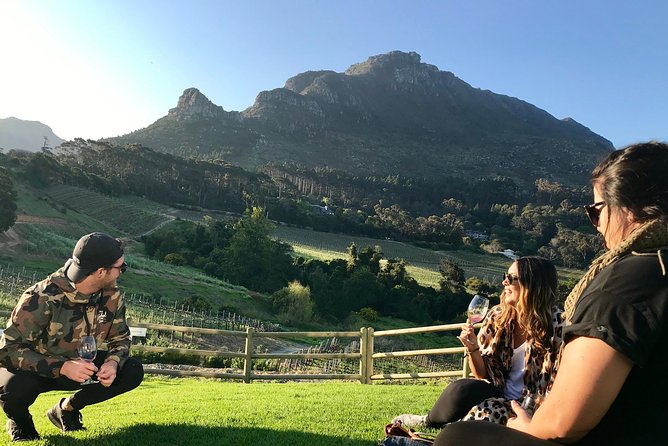 Cape Town Peninsula Day Tour ( Cape Point/Boulders/Wine Tasting) - Lunch in Constantia Wine District