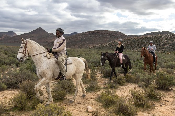 Cape Town Safari Big 5 Experience All Inclusive - What to Expect on Safari