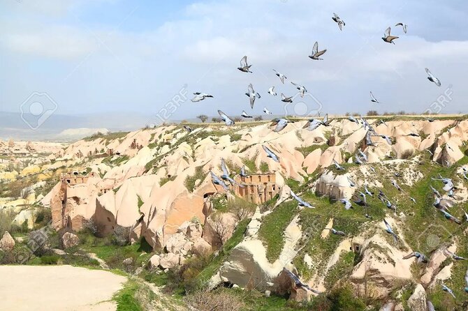 Cappadocia Green Tour - Customer Reviews and Feedback