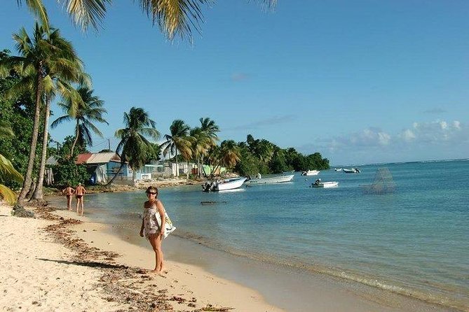 Captains Most Popular Snorkeling and Beach Day With Lunch - Restrictions and Recommendations