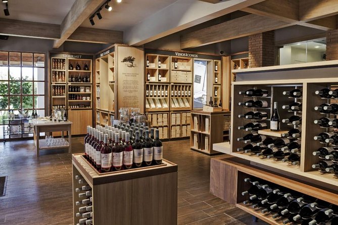 Casas Del Bosque Vineyard Tour - Culinary Offerings at the Vineyard