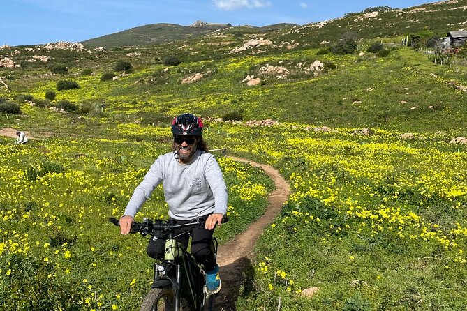 Cascais-Sintra E-Bike Tour: Discover Its Natural Beauty - Highlights of the Tour