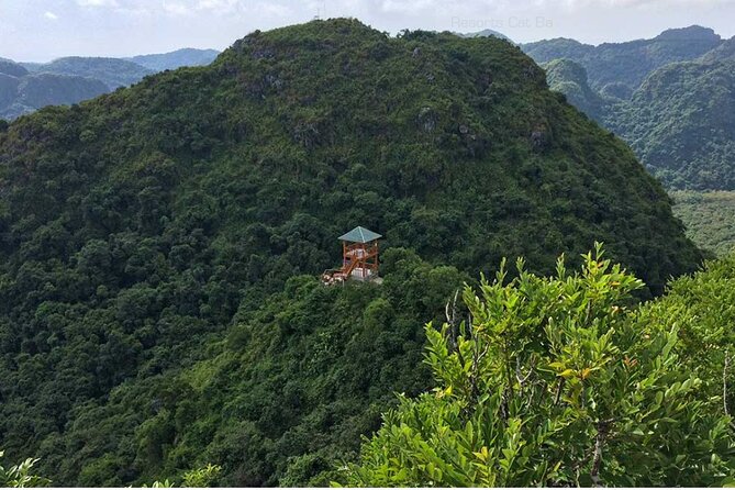 Cat Ba Trekking Tours National Park Half Day From Cat Ba Island - Health Considerations and Accessibility