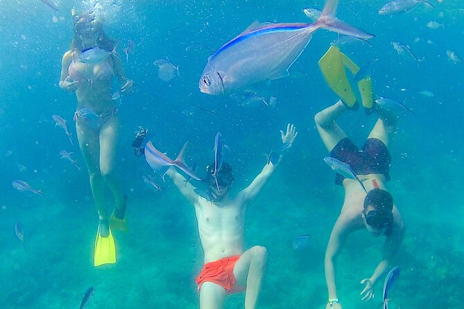 Catalina Island With Altos De Chavon - Full Day All Inclusive - Tour Details