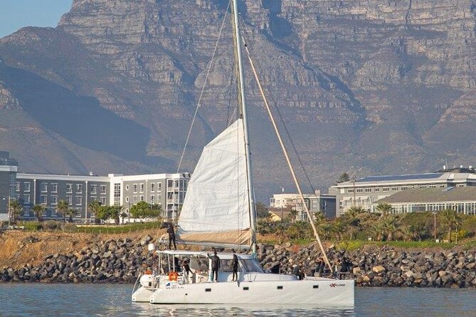 Catamaran Cruise in Cape Town - Accessibility and Participation