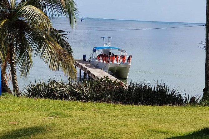 Cayo Levantado Whales Fun Day Experience From Punta Cana - Reviews and Ratings