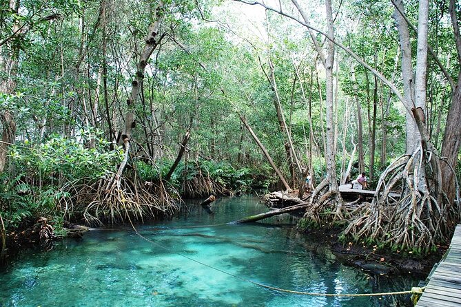Celestun Beach and Mangrove Boat Ride From Merida - Health and Safety