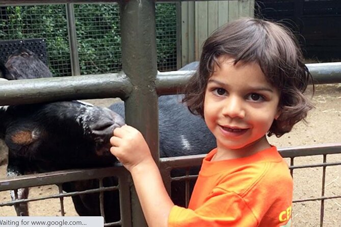 Central Park Zoo Admission Ticket With 4D Theater Access - Visitor Reviews and Feedback