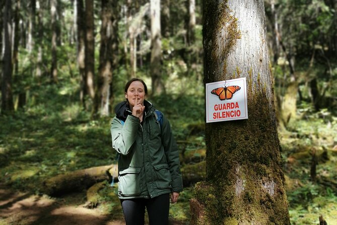 Cerro Pelon Monarch Butterfly Sanctuary. - Health and Accessibility
