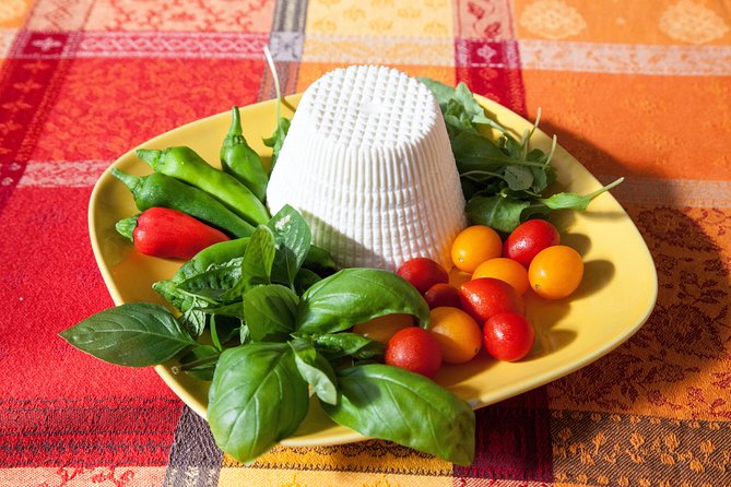 Cesarine: Small Group Pasta and Tiramisu Class in Sorrento - Authentic Italian Recipes