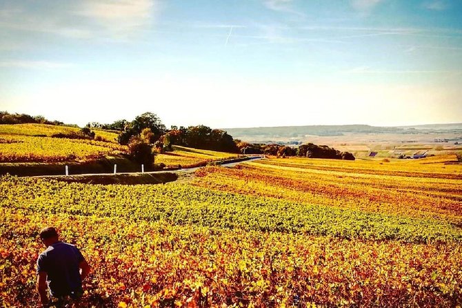 Champagne Moet and Chandon Private Tour With Tastings From Reims or Epernay - Additional Information