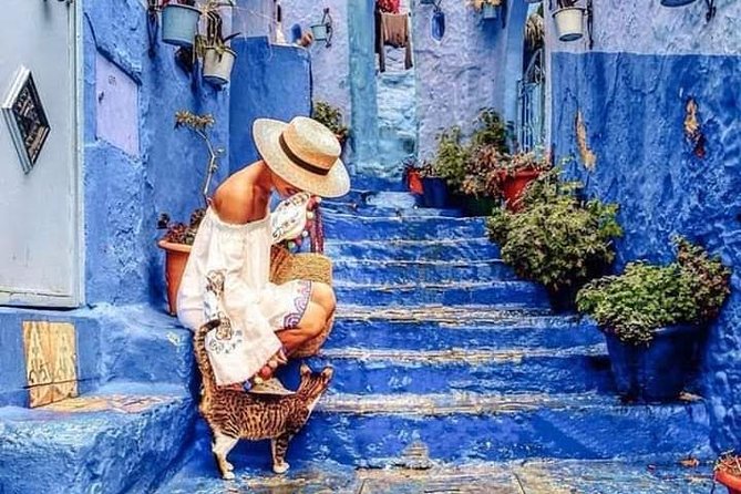 Chefchaouen Day Trip! The Blue City (Private Tour) - Accessibility Information