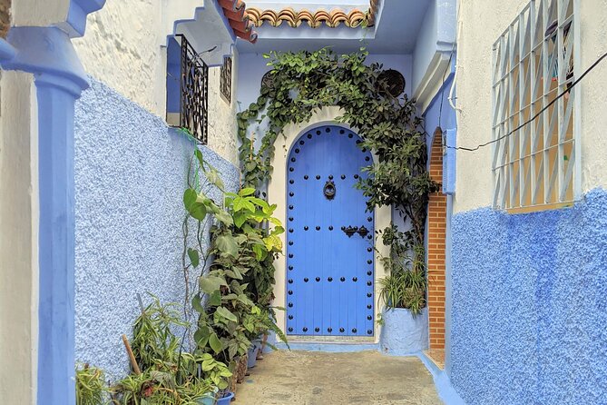 Chefchaouen Full-Day Historical Tour From Fez - Itinerary Overview