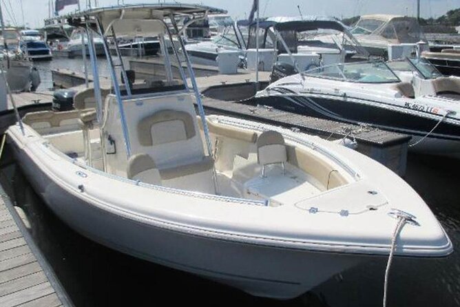 Chicago River 2-Hour Private Cruise for 6 People With Captain - Accessibility and Participation