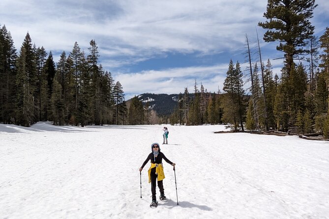 Chickadee Ridge Beginner Snowshoe Activity - Equipment and Gear Provided