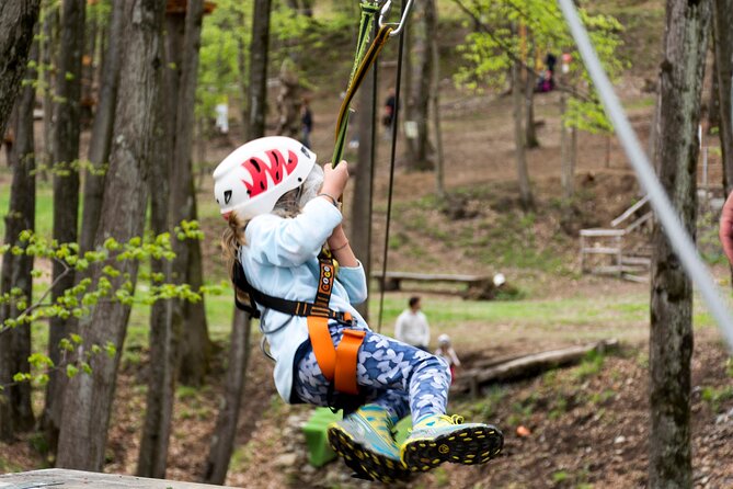 Children Daily Ticket for Adventure Park in Gravedona - Accessibility Features