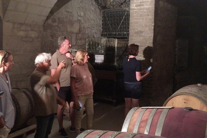 Chinon Wine Tour by Bike With Picnic Lunch - Accessibility and Suitability