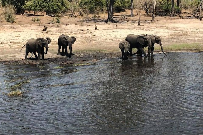 Chobe Day Trip From Victoria Falls - Pickup and Meeting Points