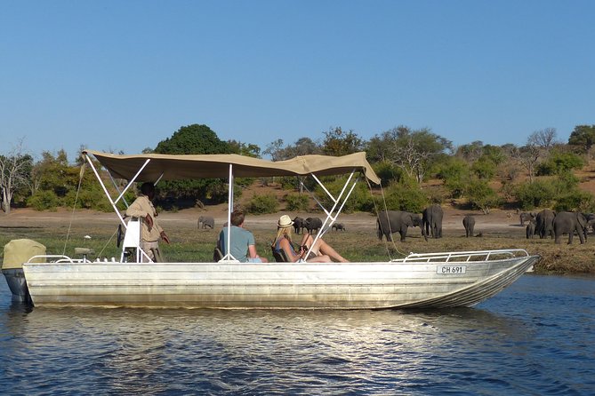 Chobe Sunrise Upto Sunset Day Trip From Victoria Falls 5AM - 7PM - Transportation and Logistics