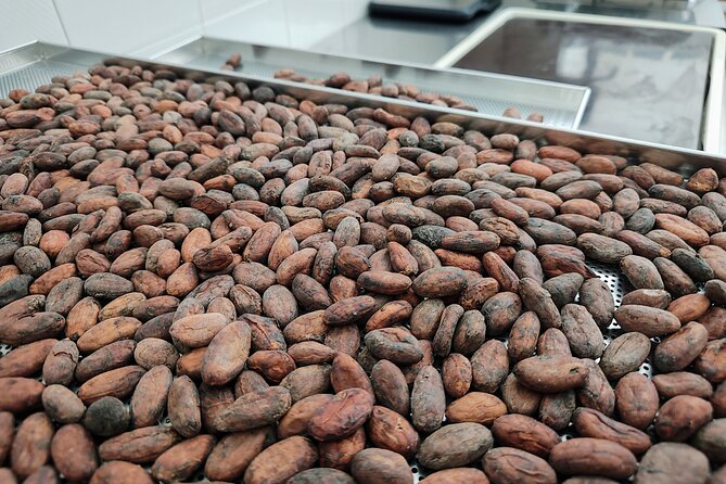 Chocolate Lesson in Modica for Small Groups - Included Amenities