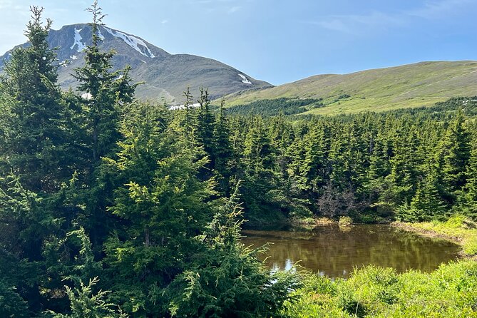 Chugach State Park Nature Walk - What to Expect From the Experience