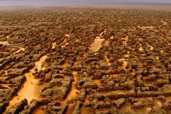 City of Sefar Private 7-Day Trek in the Algerian Sahara - Meals and Accommodations