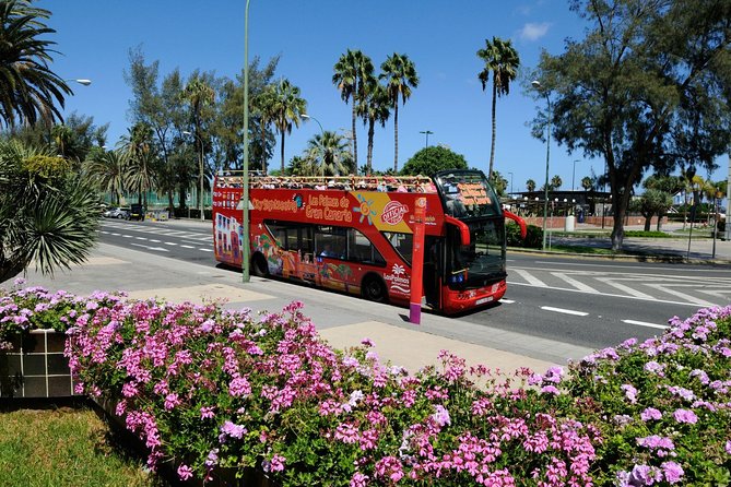 City Sightseeing Las Palmas De Gran Canaria Hop-On Hop-Off Bus Tour - Additional Information