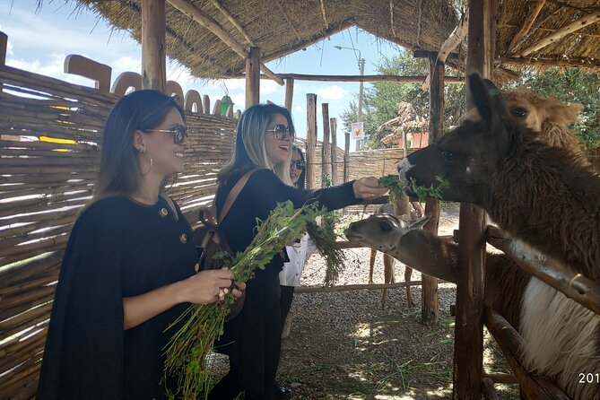 City Tour Cusco Peru - Key Sites to Visit in Cusco