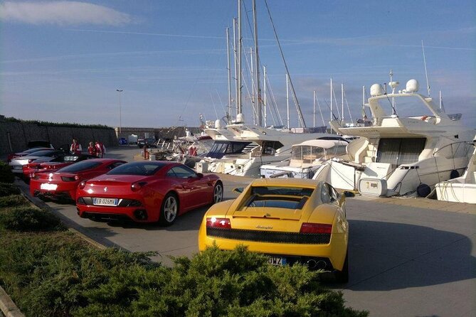 Civitavecchia to Rome Transfer Review - Pricing and Cancellation