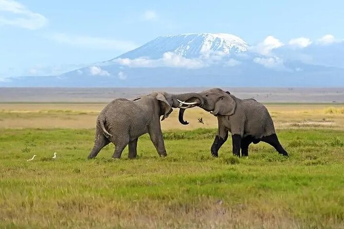Classic Best of Kenya - Pickup and Meeting Points