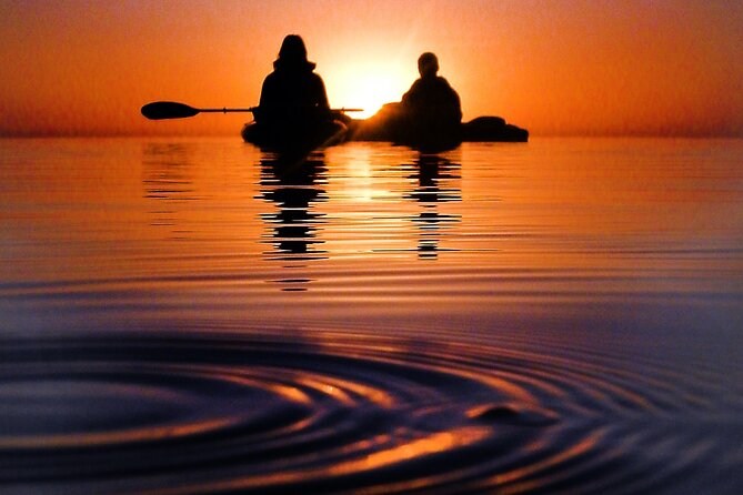 Clear Kayak Florida Bioluminescence Tour | Beacon 42 (Titusville) - Customer Experiences
