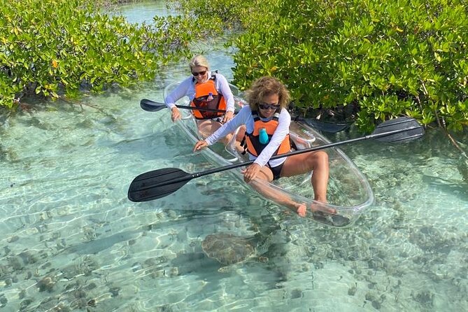 Clear Kayak Tour in Turks & Caicos Islands - Guide Professionalism and Friendliness