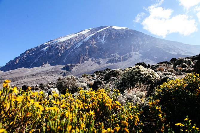 Climb Kilimanjaro - Marangu Route 8 Day Program - Day 1: Hiking to Mandara Hut