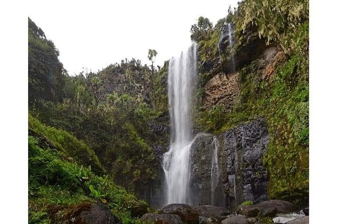 Climbing Mount Kenya 5 Days Via Chogoria Route - Crew and Support