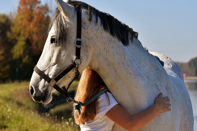 Coaching With Horses in Buenos Aires, Argentina - Timing and Duration